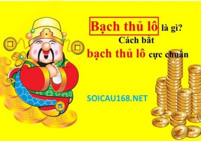 Bạch thủ lô là gì