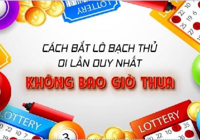 cach bat lo bach thu