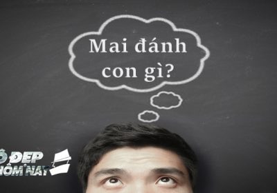 mai đánh con gì?